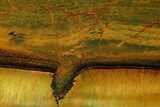 Marra Mamba Tiger's Eye Slab - Mt Brockman ( Billion Years) #161968-1